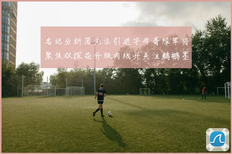 名记分析若无法引进字母哥绿军将聚焦双探花升级内线并关注鹈鹕墨菲