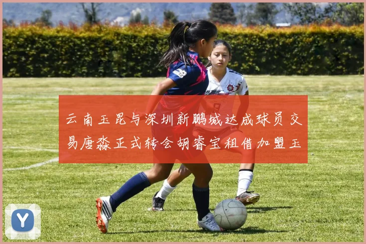 云南玉昆与深圳新鹏城达成球员交易唐淼正式转会胡睿宝租借加盟玉昆
